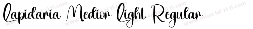 Lapidaria Medior Light Regular字体转换